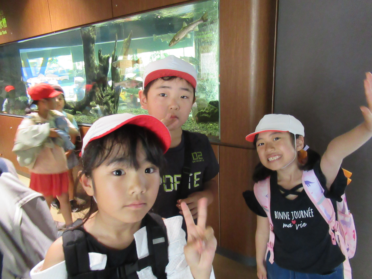 IMG_4443.JPG のコピー
