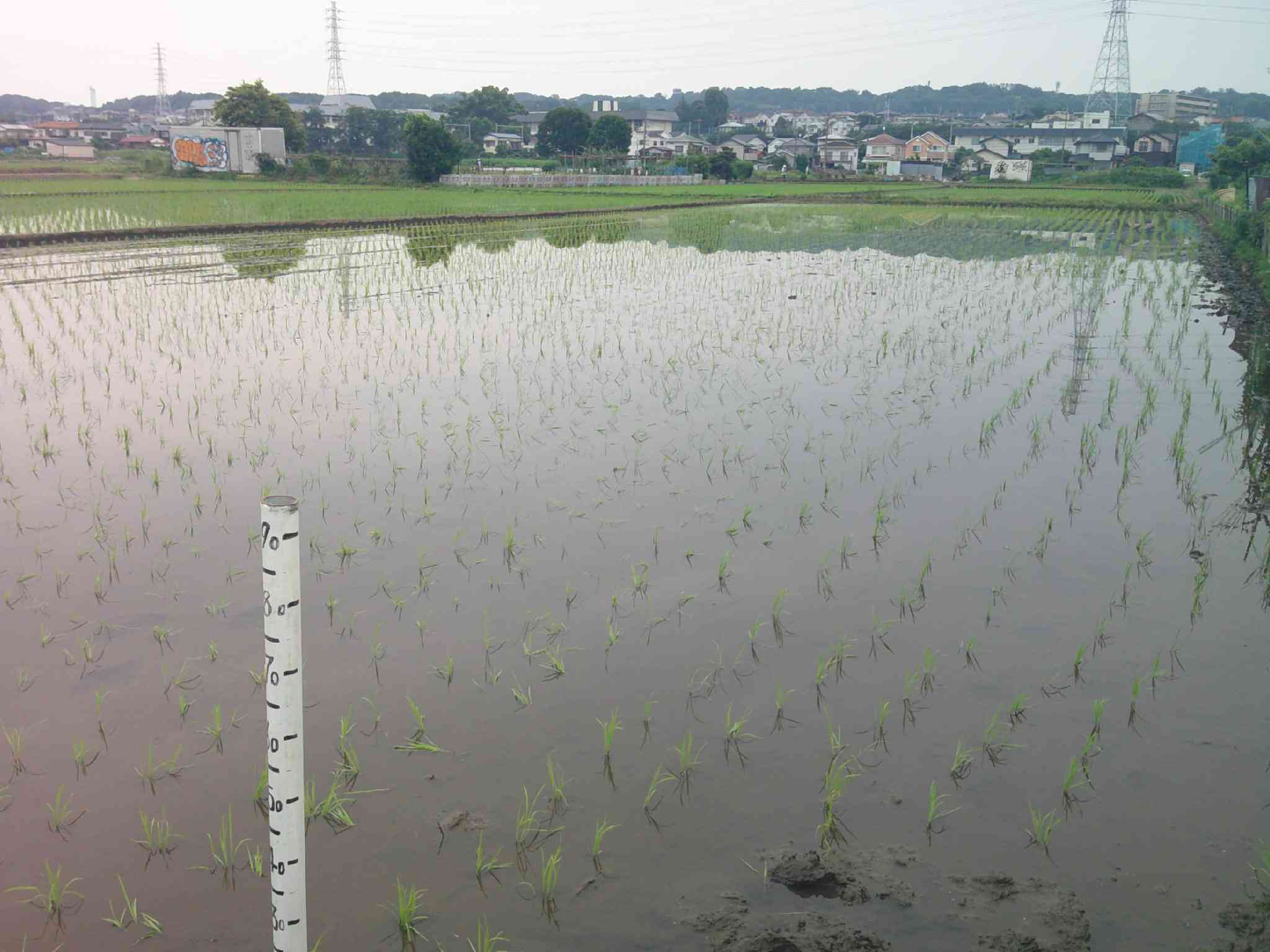 DSCF0004
