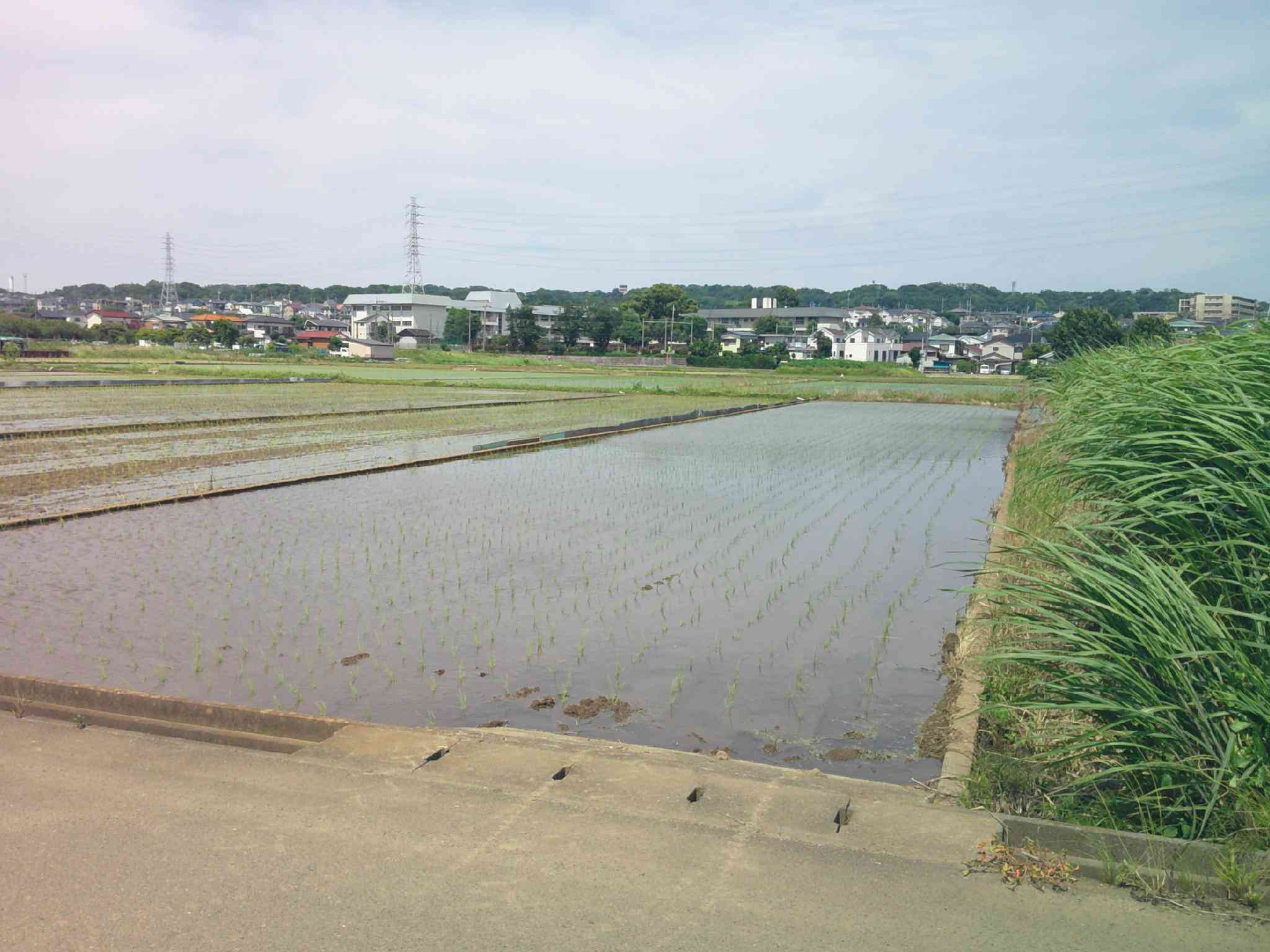 DSCF0001